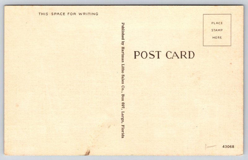 Florida~People Picking Oranges Orchard Scene~Ladder~Crates~Linen 1940s Postcard