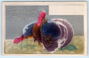 THANKSGIVING GREETINGS Airbrushed Embossed TURKEYS 1910s Holiday Postcard