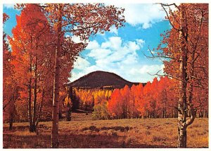 Fall Colors   Cedar Breaks, Utah 
