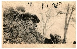 RPPC Postcard Trees Rocks Nature Scene Unknown Location