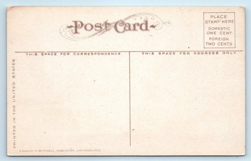 MARE ISLAND, CA~ US Receiving Ship INDEPENDENCE c1910s Solano County Postcard