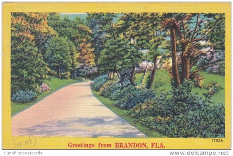 Florida Greetings From Brandon 1953