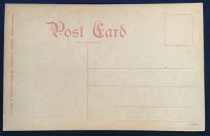 Postcard Unused No 1407 Spectacle Arches WA LB