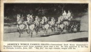 Armour Grays Horse Team Percheron Geldings Olympia London 1907 Postcard