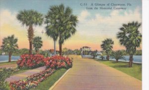 Florida Clearwater Glimpse Of Clearwater From Memorial Causeway Curteich