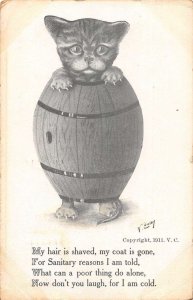 Greetings Shaved Cat in Barrel Humor Vintage Postcard AA45505