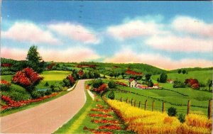 Postcard ROAD SCENE Sheridan Arkansas AR AL2631