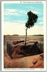 Sherman Hill Wyoming 1940s Postcard Lincoln Highway Tree Growing Solid Rock