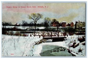 1913 Rustic Bridge in Branch Brook Park Newark New Jersey NJ Postcard 