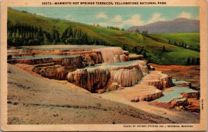 Vtg Mammoth Hot Springs Terraces Yellowstone National Park Wyoming WI Postcard