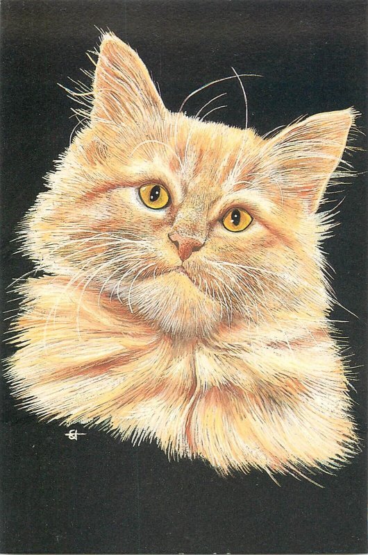 Honey cat for John & Jo Taylor from an original by Elizabeth Titcomb postcard