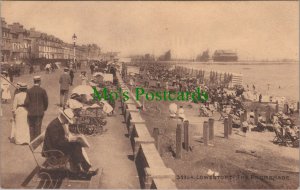 Suffolk Postcard - Lowestoft, The Promenade  DC562