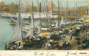 10296 Baltimore Maryland Busy Wharves Illustrated Postcard 1906 