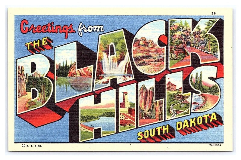 Greetings From The BLACK HILLS South Dakota LARGE Letter Postcard