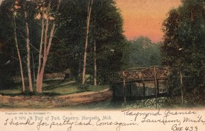 Vintage Postcard 1906 A Part Of Park Cemetery Marquette Michigan The Rotograph