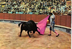 Corriendo el toro a una Mano, a Pass with the Cloak Tarjeta Postal Bullfighti...
