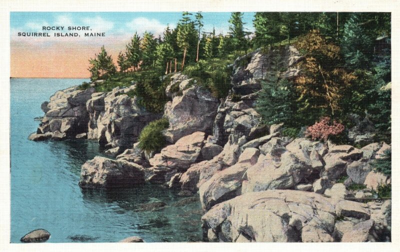 Vintage Postcard 1920's View of Rocky Shore Squirrel Island Maine ME