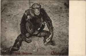 PC CHIMPANZEE FRENCH CONGO (A22858) 