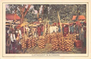 Klappermarkt Te Buitenzorg Indonesia, Republik Indonesia Unused 