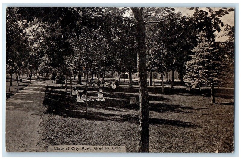 c1910's View Of City Park And Trees Greeley Colorado CO Antique Postcard