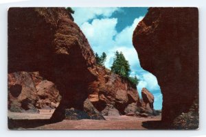The Rocks at Hopewell New Brunswick NB Canada UNP Chrome Postcard M7