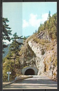 Washington - Tunnel On Hurricane Ridge Road - [WA-030]