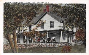 Crystal Spring House, Catskill Mountains - Oliverea, New York NY  