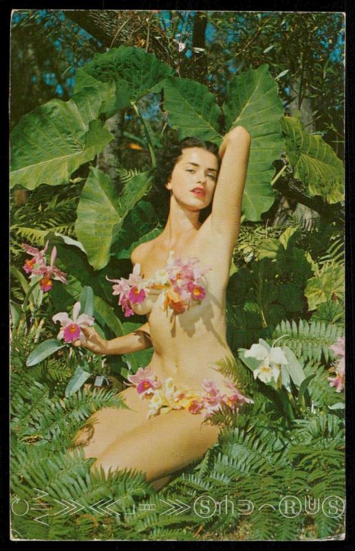 Orchid Wahine