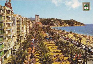 Spain Lloret De Mar Costa Brava Passeig i palmeras