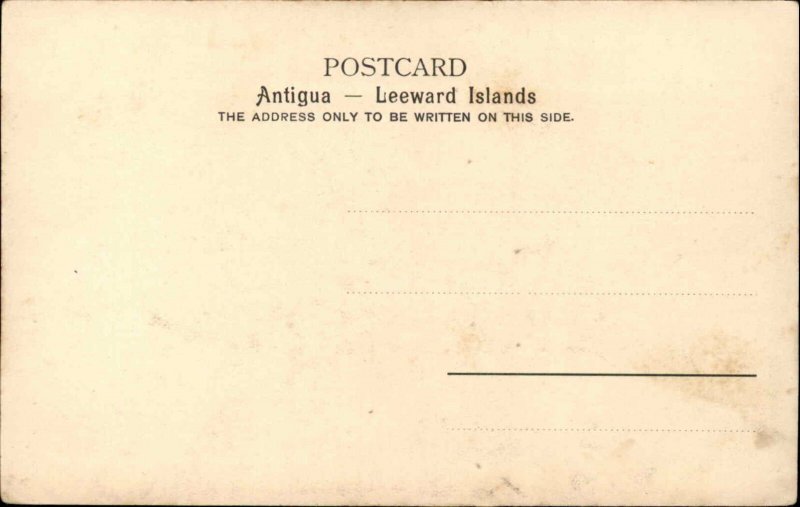 St. Johns Antigua West Indies Botanical Station Garden South c1910 Postcard
