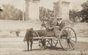 MANILA PHILAPPINES~MAN & WOMAN SITTING IN OX PULLED CART~REAL PHOTO POSTCARD