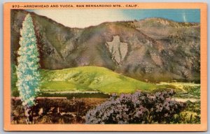 Vtg California CA San Bernardino Mountains Arrowhead & Yucca 1940s Postcard