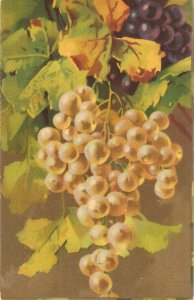 Fruits. Bunch of Grapes Nice old vintage Italian artist postcard