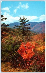 Postcard - An Autumn Scene - North Carolina