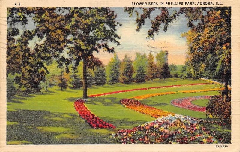 Aurora Illinois 1945 Postcard Flower Beds In Phillips Park 