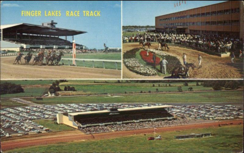 Near Canandaigua NY Finger Lakes Horse Race Track Old Postcard