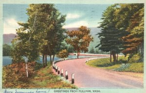 Vintage Postcard 1917 Greetings From Pullman Washington Roadway View Trees