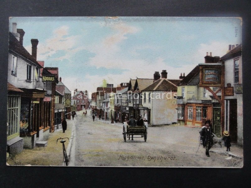 Hampshire LYNDHURST High Street THE FOX & HOUND HOTEL c1906 by The Wrench 14057