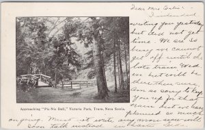 Truro Nova Scotia Victoria Park Picnic Dell Early View 1900s Postcard H75