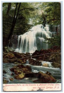 c1950's Falls, Oneonta & Mohawk Trolley Line Richfield Springs NY Postcard 