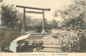 c1910 Japan Cherry Blossom Nogeyama  Yokohama  hand colored Postcard 26-674