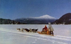 Husky Dog Team - Misc, Alaska AK