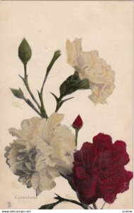 CARNATIONS, 1907, TUCK 6911