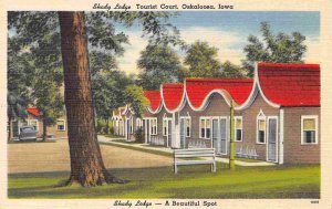 Shady Lodge Tourist Court Motel Highway 63 Oskaloosa Iowa linen postcard