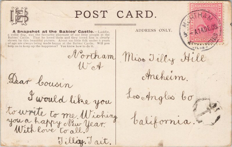 Dr. Barnardo's Children & Laddie Dog Babies Castle Postcard F24 *as is