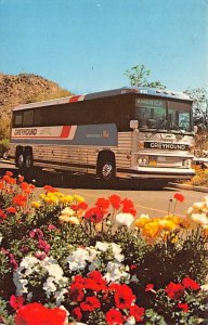 The greyhound Americruiser 2 Bus Unused 