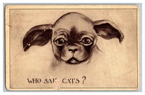 c1912 Postcard Who Said Cats? Vintage Standard View Card Dog 