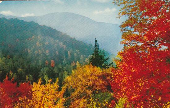 Mt Mitchell and Autumn Color Blue Ridge Parkway North Carolina