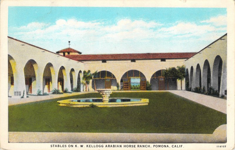 K.W Kellogg Arabian Horse Ranch Stables Pomona California Curt Teich Postcard