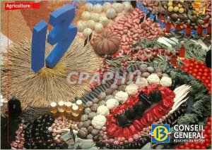 Postcard Modern Bouches du Rhone Collection Fruits and Vegetables